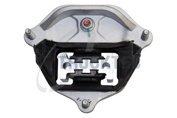 Опора двигуна TRUCKTEC AUTOMOTIVE 0720090 - zapix