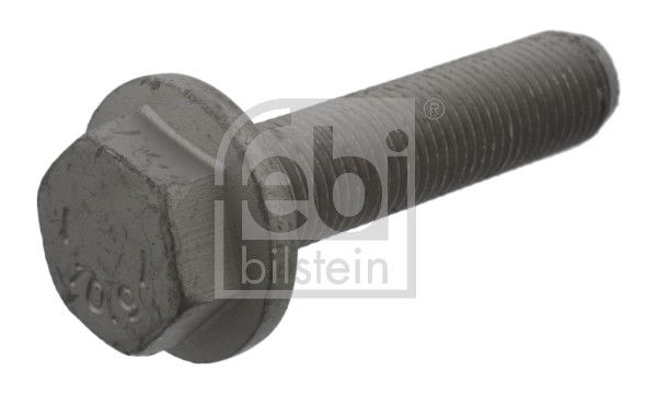 Болт кріплення гальмівного диска FEBI BILSTEIN 18625 - zapix