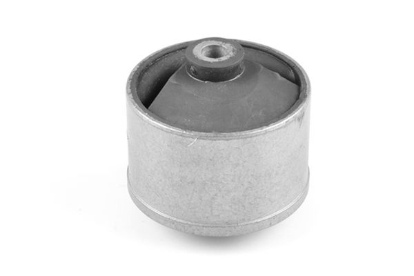 Опора двигуна TEDGUM 00447927 - zapix