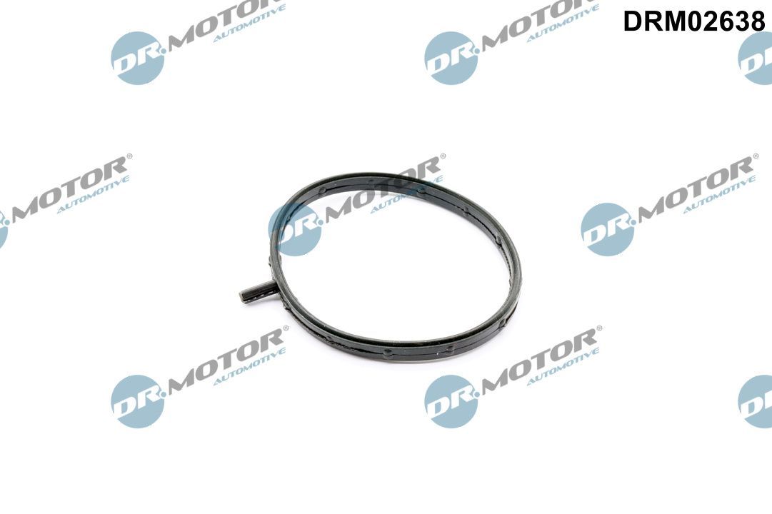 Прокладка дросельної заслонки DR.MOTOR AUTOMOTIVE DRM02638 - zapix