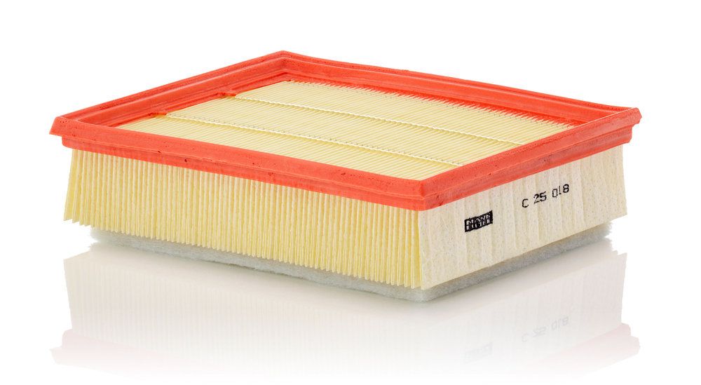 Повітряний фільтр MANN-FILTER C25018 - zapix