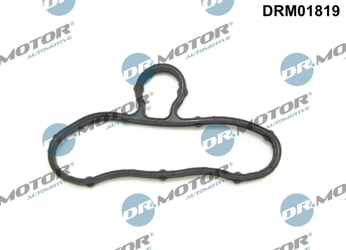 Прокладка передньої кришки двигуна DR.MOTOR AUTOMOTIVE DRM01819 - zapix