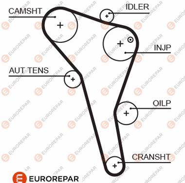 Ремінь ГРМ EUROREPAR 1633129180 - zapix