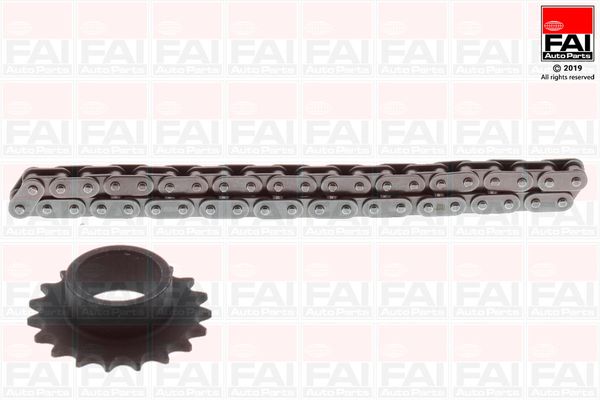 Приводний ланцюг оливного насоса FAI AUTOPARTS OPCK18 - zapix