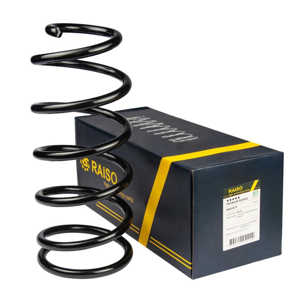 Пружина підвіски RAISO SR224TP - zapix