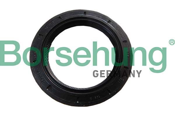 Сальник коробки передач BORSEHUNG B18791 - zapix