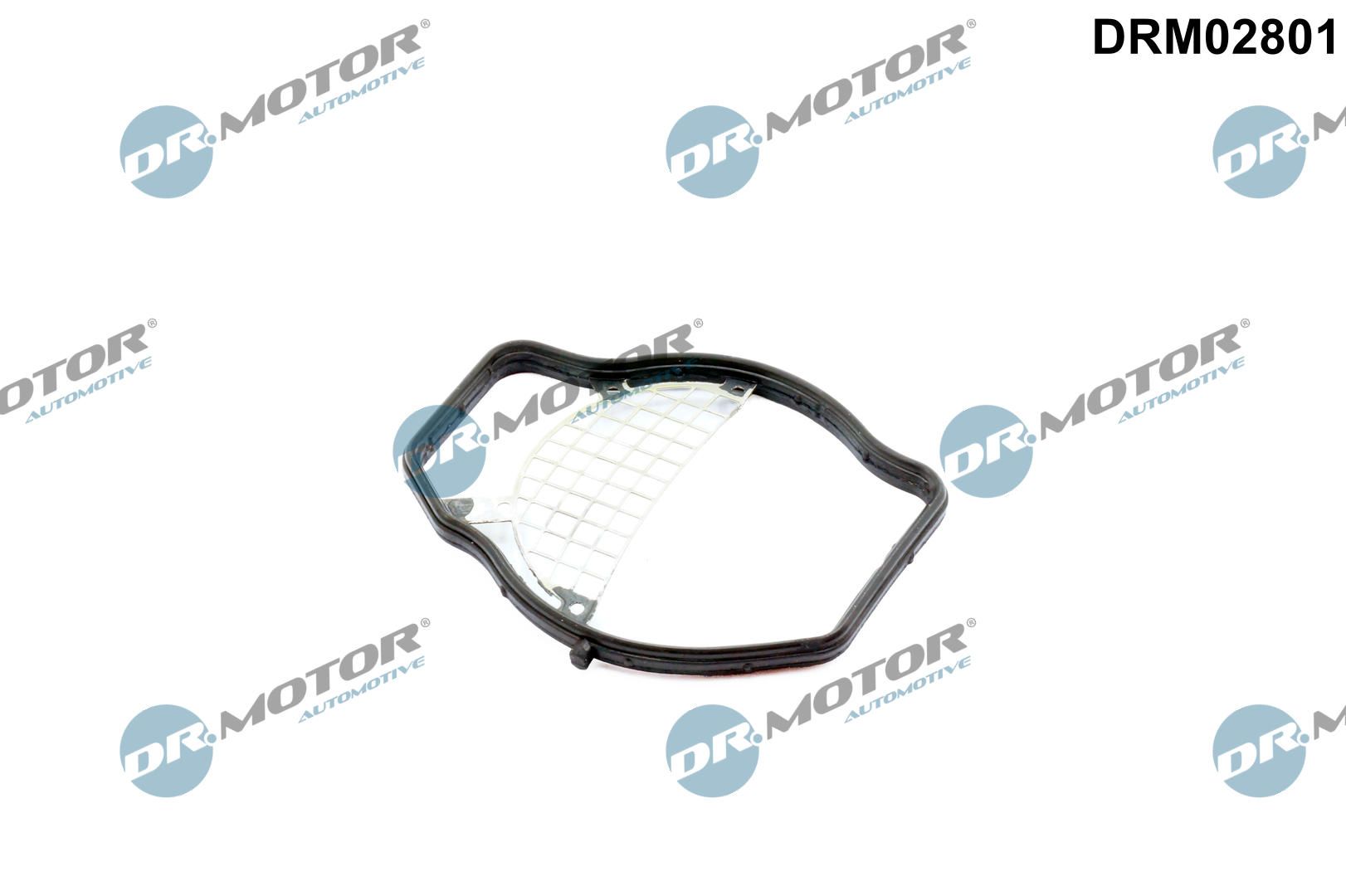 Прокладка дросельної заслонки DR.MOTOR AUTOMOTIVE DRM02801 - zapix