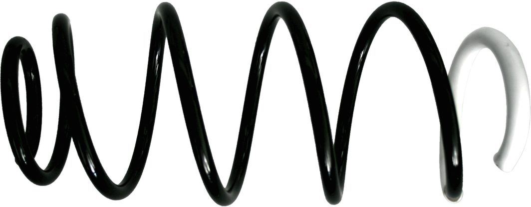 Пружина підвіски SACHS 993298 - zapix