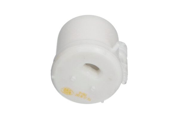 Паливний фільтр KAVO PARTS TF1952 - zapix
