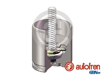 Поршень гальмівного супорта AUTOFREN SEINSA D025682K - zapix