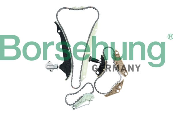 Комплект ланцюгів привода BORSEHUNG B10223 - zapix
