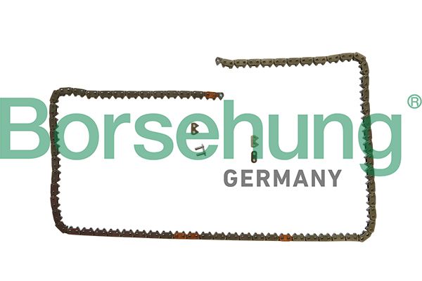 Ланцюг привода BORSEHUNG B1C031 - zapix