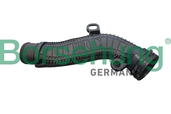 Патрубок вентиляції картера BORSEHUNG B12348 - zapix