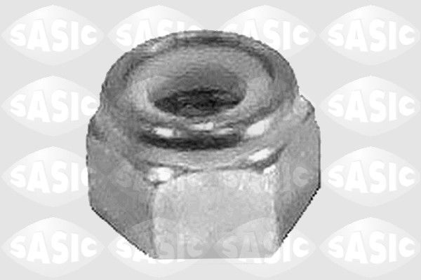 Ресора SASIC 6223303 - zapix