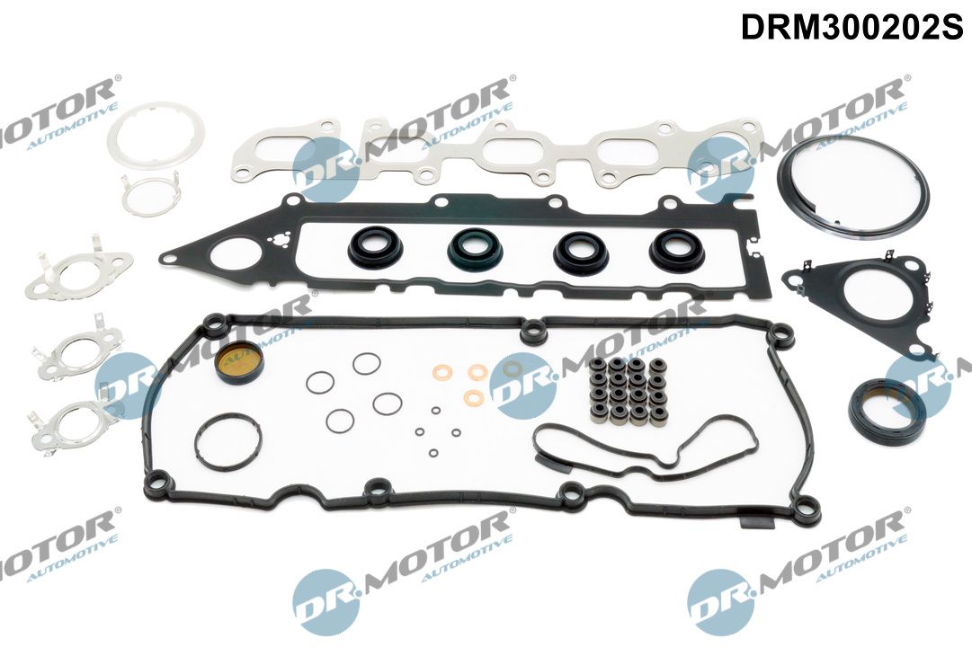 Комплект прокладок двигуна DR.MOTOR AUTOMOTIVE DRM300202S - zapix