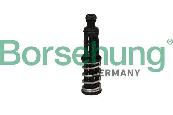 Клапан регулятор фаз газорозподілу BORSEHUNG B12309 - zapix