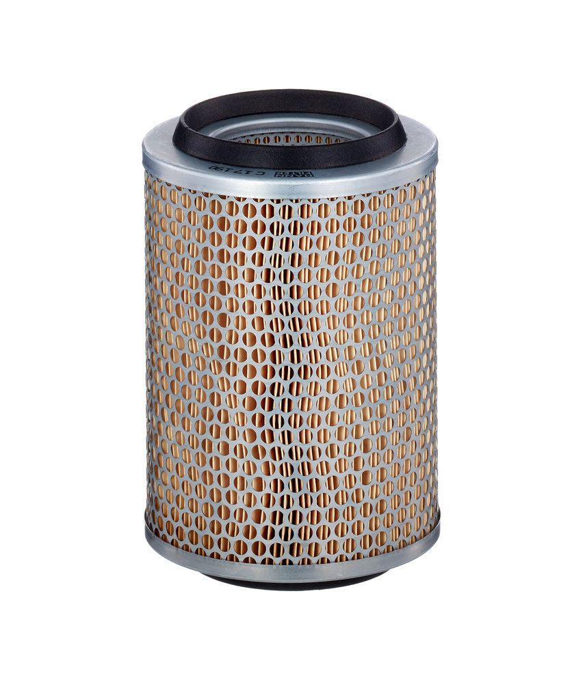 Повітряний фільтр MANN-FILTER C17190 - zapix