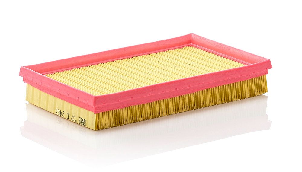 Повітряний фільтр MANN-FILTER C2463 - zapix