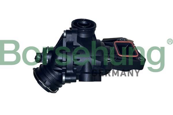 Термостат BORSEHUNG B10558 - zapix