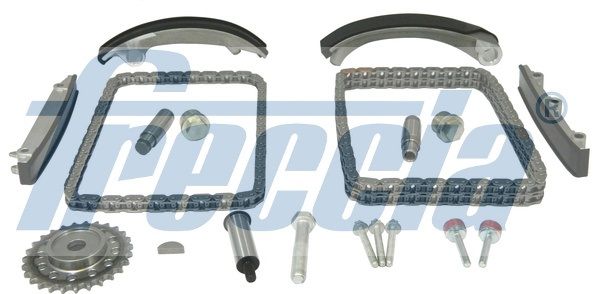Комплект ланцюгів привода FRECCIA TK081022 - zapix