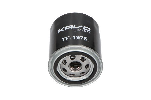 Паливний фільтр KAVO PARTS TF1975 - zapix