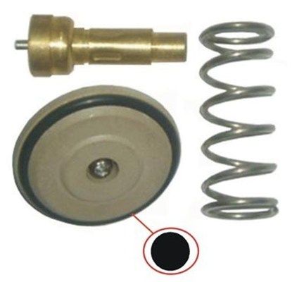 Термостат MAGNETI MARELLI 352317003470