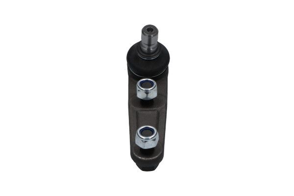 Кульова опора KAVO PARTS SBJ4502 - zapix