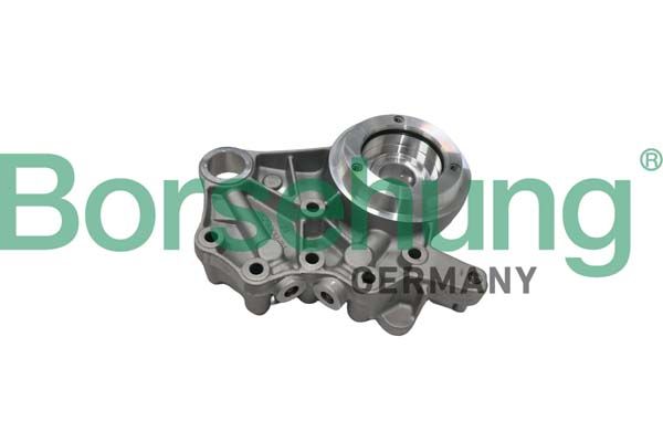 Вкладиші розподільного вала BORSEHUNG B19307 - zapix
