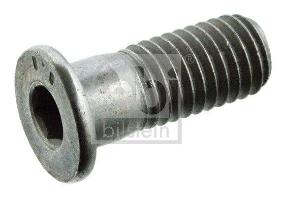 Болт кріплення гальмівного диска FEBI BILSTEIN 01893 - zapix