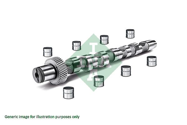 Розподільний вал SCHAEFFLER INA 428002730 - zapix
