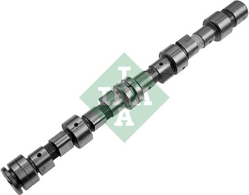 Розподільний вал SCHAEFFLER INA 428005810 - zapix