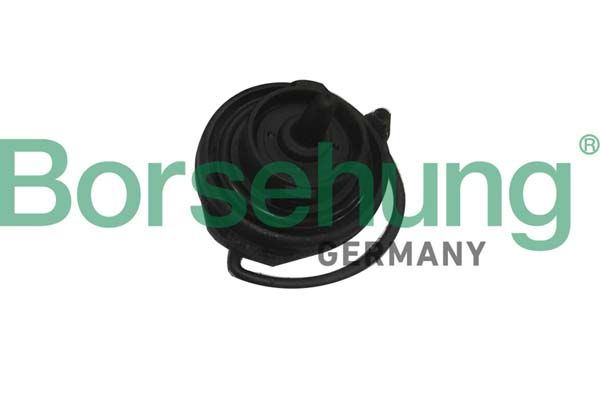 Кришка паливного бака BORSEHUNG B18783 - zapix