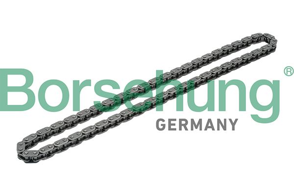 Ланцюг привода BORSEHUNG B1C020 - zapix