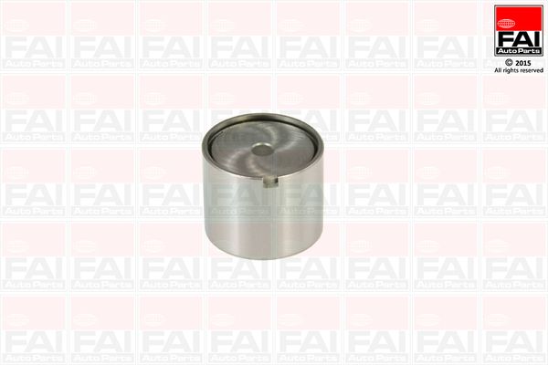 Штовхач клапана (гідрокомпенсатор) FAI AUTOPARTS BFS181S - zapix