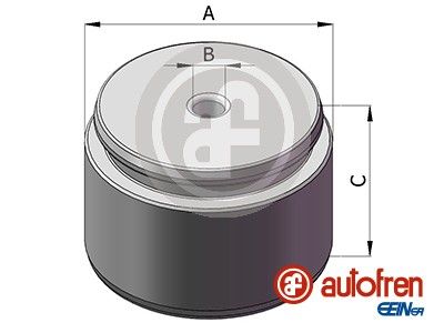 Поршень гальмівного супорта AUTOFREN SEINSA D025407 - zapix
