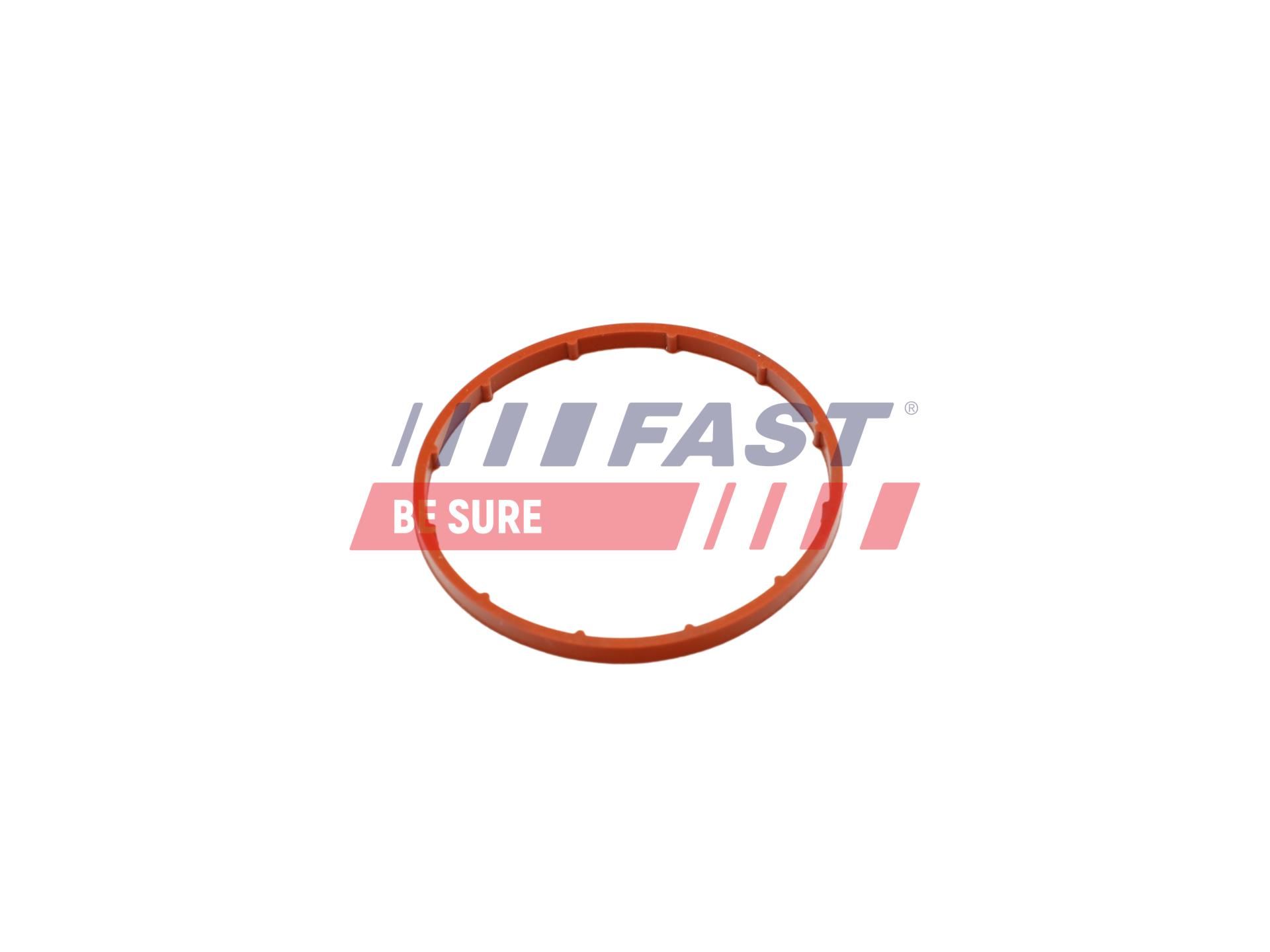Прокладка вакуумного насоса гальм FAST FT50701 - zapix
