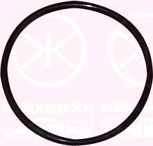 Кришка паливного насоса KLOKKERHOLM 00540092 - zapix