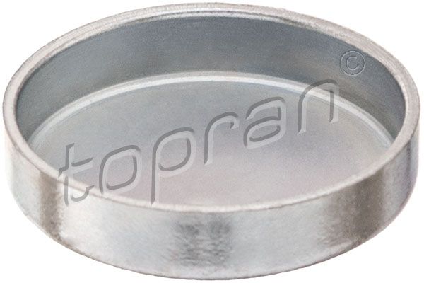 Заглушка ГБЦ TOPRAN 203185 - zapix