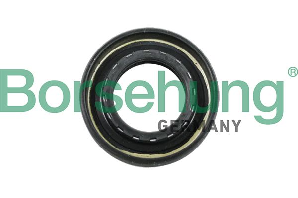 Сальник коробки передач BORSEHUNG B12194 - zapix