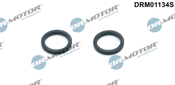 Прокладка оливного радіатора двигуна DR.MOTOR AUTOMOTIVE DRM01134S - zapix