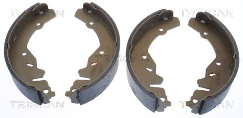 Гальмівні колодки ручника (барабанні) TRISCAN 810080002 - zapix
