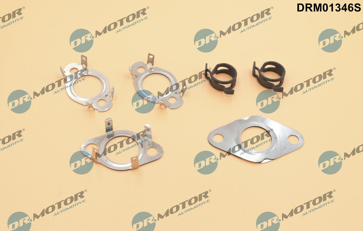 Прокладка EGR DR.MOTOR AUTOMOTIVE DRM01346S - zapix