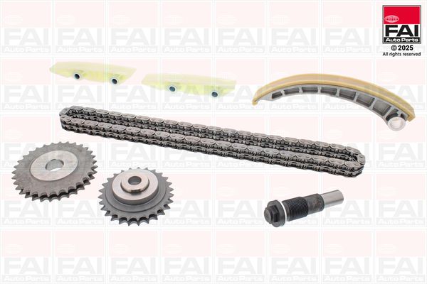 Комплект ланцюгів привода FAI AUTOPARTS TCK195NG - zapix