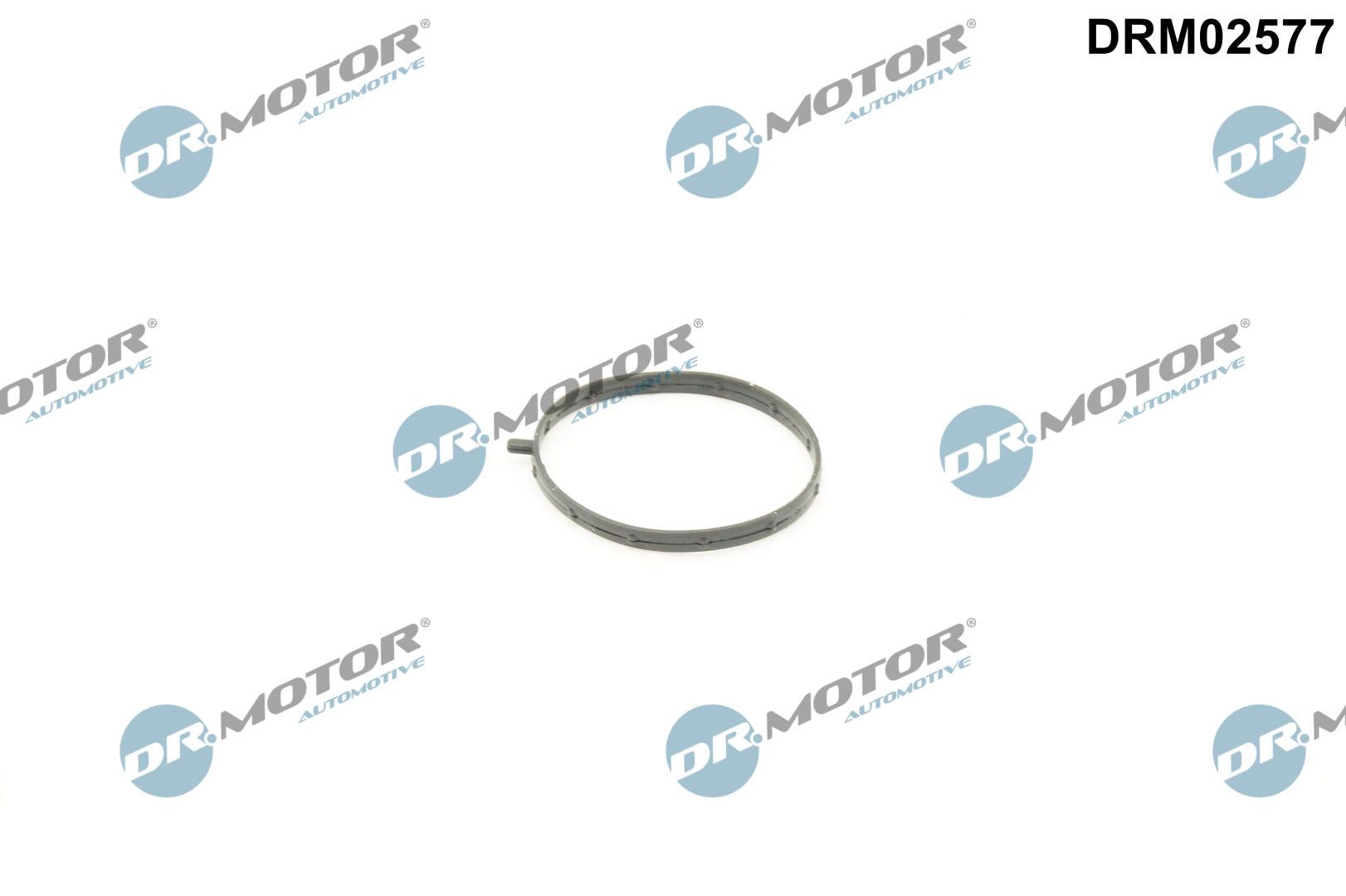 Прокладка дросельної заслонки DR.MOTOR AUTOMOTIVE DRM02577 - zapix