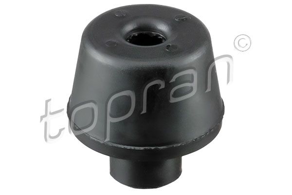 Кріплення радіатора TOPRAN 700812 - zapix