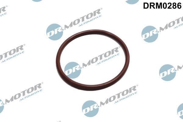 Прокладка гумова DR.MOTOR AUTOMOTIVE DRM0286 - zapix