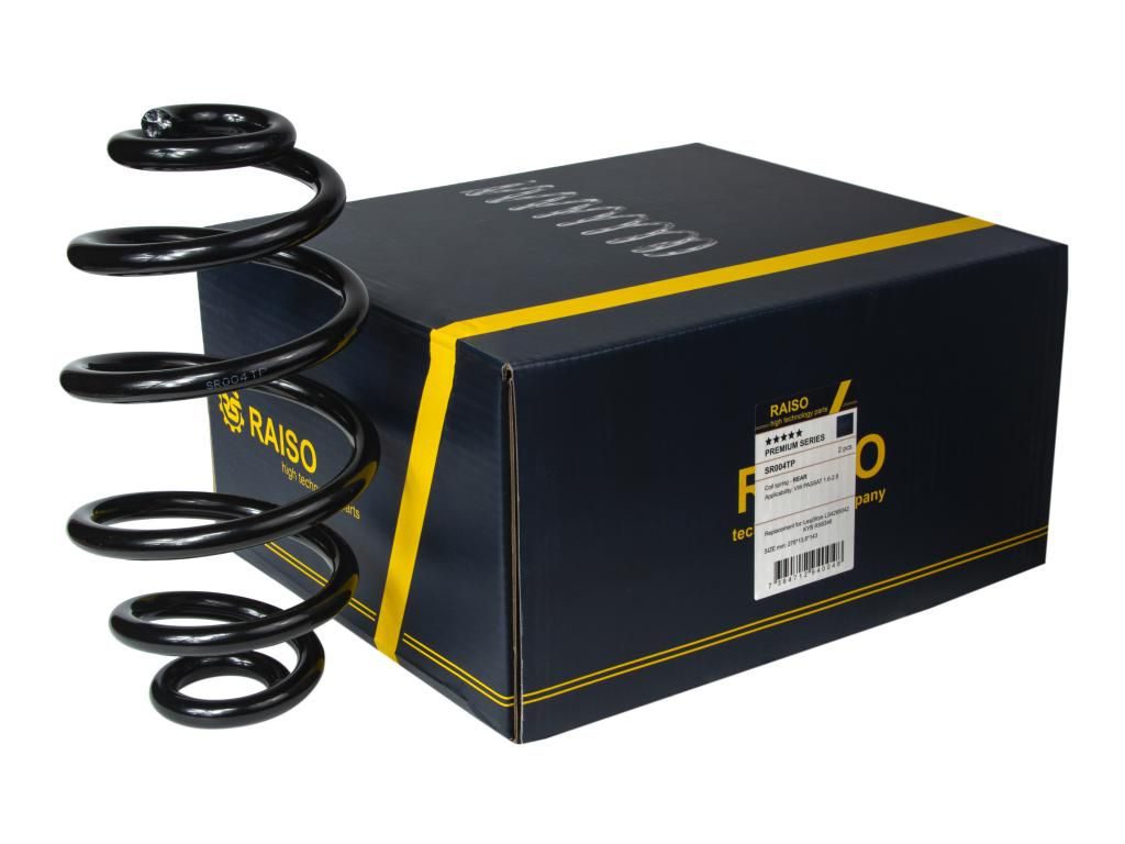 Пружина підвіски RAISO SR004TP - zapix