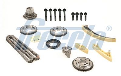 Комплект ланцюгів привода FRECCIA TK081153 - zapix