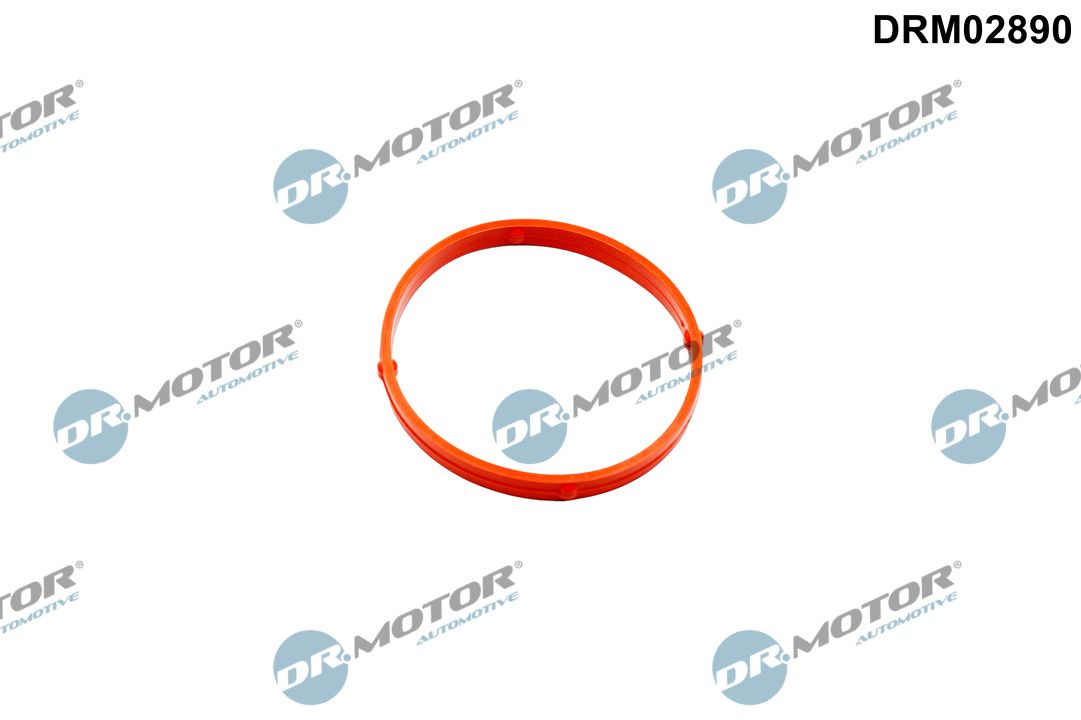 Прокладка дросельної заслонки DR.MOTOR AUTOMOTIVE DRM02890 - zapix
