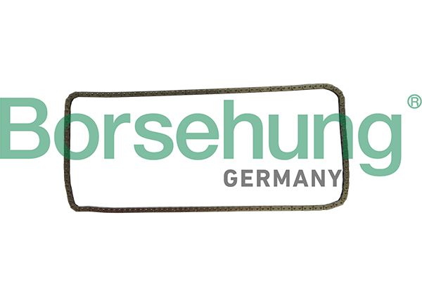 Ланцюг привода BORSEHUNG B1C030 - zapix